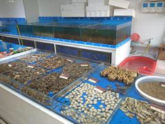 水产区-鑫福隆生鲜超市(沈营大街店)