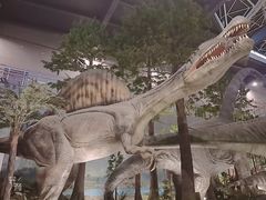 -湖南省地质博物馆