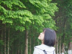 -桤木河湿地公园