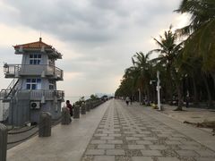 -深圳湾公园(南山区)