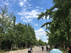 -清华大学-清芬园