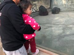 -南昌动物园