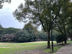 -柯岩风景区