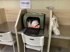 -纳吉亚猫专科动物医院(康都外科中心)