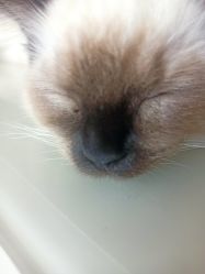 -盘子女人坊古装摄影(万达店)