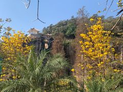 -广州莲花山旅游区