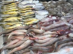 -渔中舟海鲜大排档(普陀沈家门店)