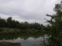 -北京大学-学五食堂