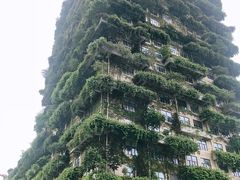 -碧桂园总部大楼