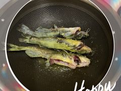 -友乐居羊蝎子(西直门店)