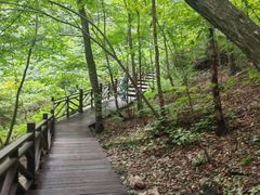 -五女峰国家森林公园