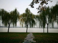 -咸阳湖景区-古渡公园