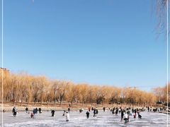 -东坝千亩湖公园