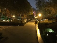 -木塔寺遗址生态公园