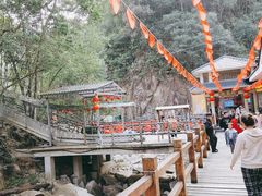 -九龙江国家森林公园