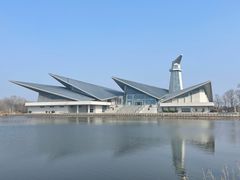 -盐城丹顶鹤湿地生态旅游区