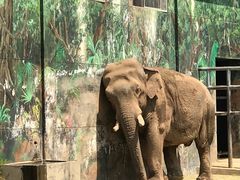 -西安秦岭野生动物园