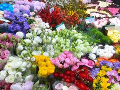 -双季花艺园艺市场(浦东店)