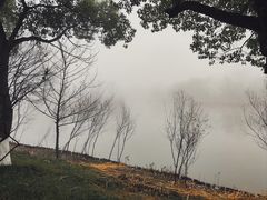 -西溪国家湿地公园