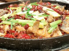 -老板恋上鱼(高新万达店)