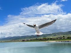 -青海湖二郎剑景区