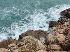 -广东惠东海龟国家级自然保护区