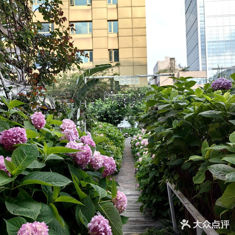 谁还没来过王府井的这个大菠萝🍍