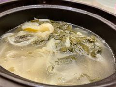 煲淋白菜-沙龙酒家