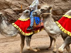 -天山神秘大峡谷