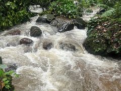 -莫里热带雨林景区