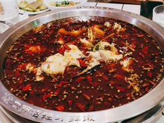 -蛙一刀·麻椒鱼火锅(金仙桥店)