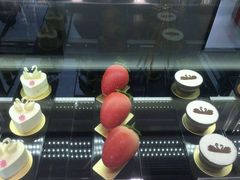 -BLACKSWAN黑天鹅(环球店)