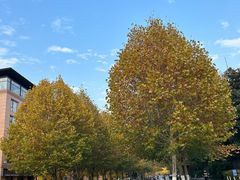 -阿里中心·杭州Z空间