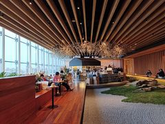 -Seesaw Coffee(朝阳大悦城店)