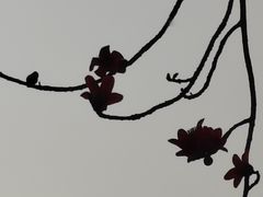 -晓港公园