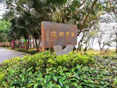 -宋井风景区