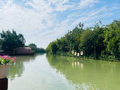 -大湾区中央湿地公园-十九涌
