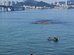 -星海湾跨海大桥