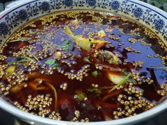 -青城甲(青城山店)