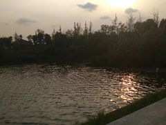 -白鹭湾湿地公园