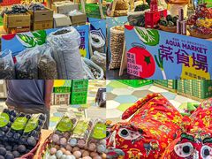 -鹏欣水游城