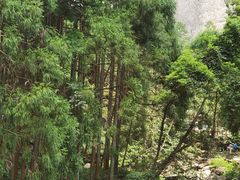 -雁荡山风景名胜区