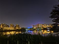 -飞凤山奥体公园
