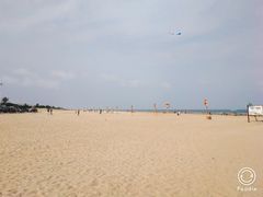 -东海岛旅游度假区