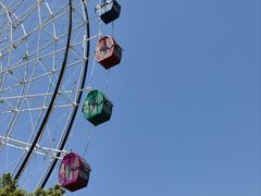 -洋湖国家湿地公园