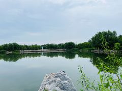 -马家湾湿地公园