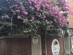 -叶氏麻糍(鼓浪屿店)