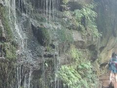 -中国大熊猫保护研究中心雅安碧峰峡基地