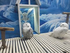 -成都浩海立方海洋公园