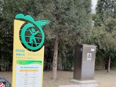 -团结湖公园